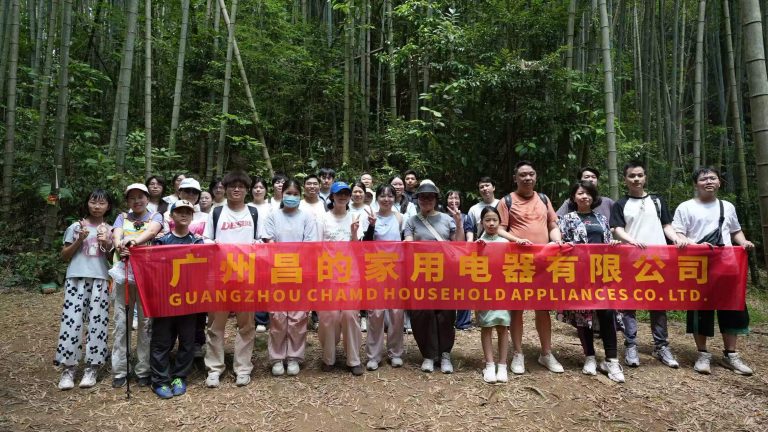 Kodio Team Building Hike: Walking Together, Growing Stronger