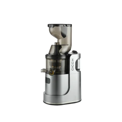 CD-J803 300ml slow juicer